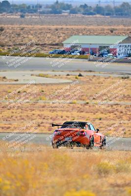 media/Nov-16-2024-Extreme Speed (Sat) [[6587d07cc4]]/Gold Group/Session 1 (Turn 2)/
